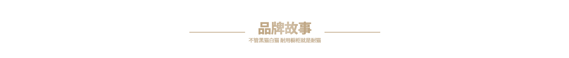 关于耐猫修改_05.jpg